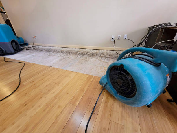 Professional Basement Flood Cleanup technician working in Riegelsville, PA